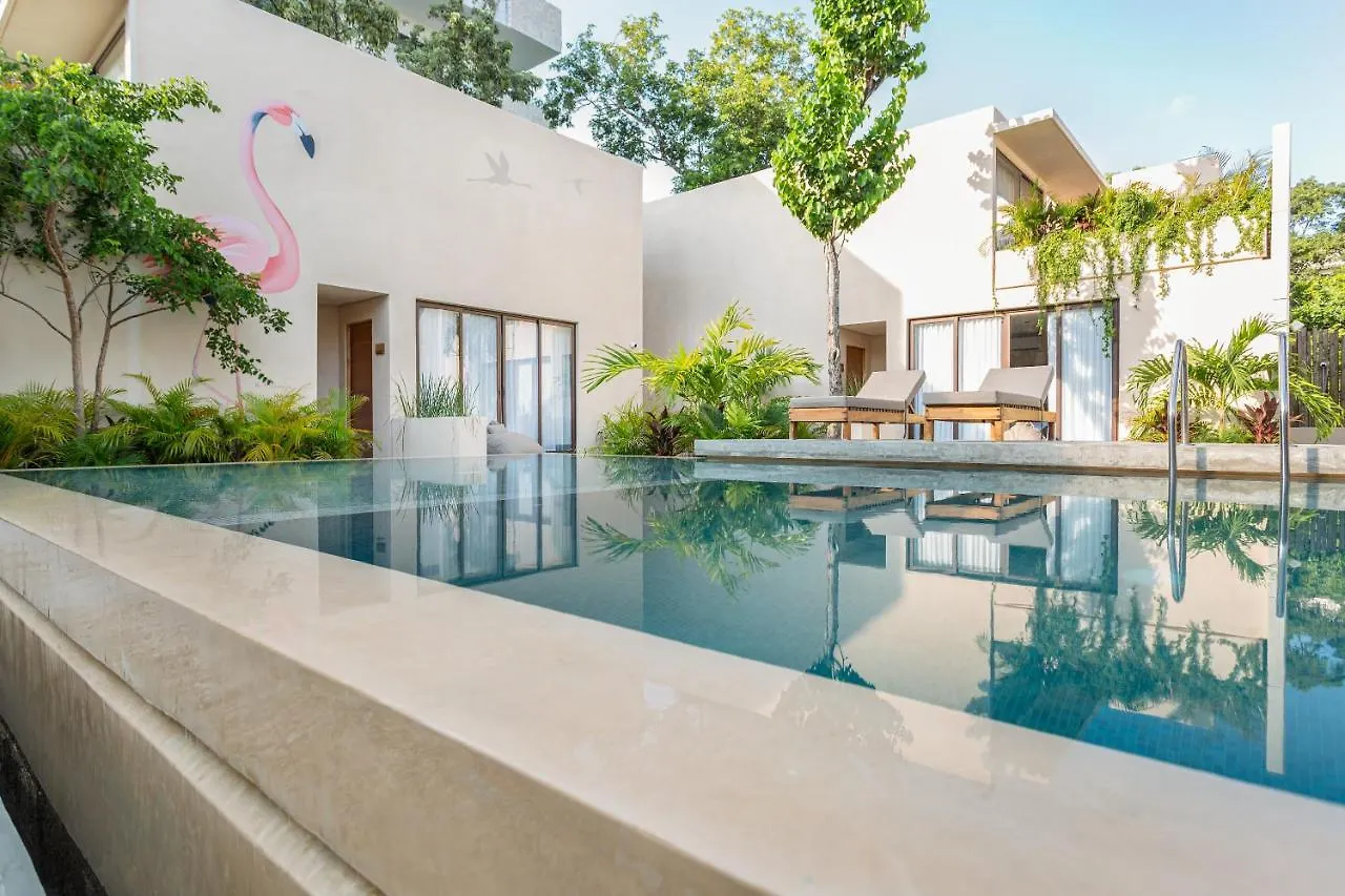Faisano Nomadas Tulum